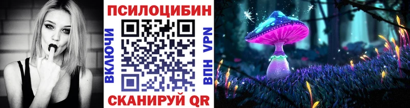 Купить  Ардон  Галлюциногенные грибы мицелий 